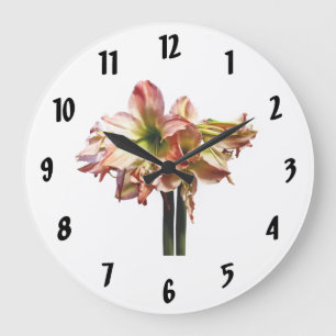A Lovely Pink and White Amaryllis Large Clock