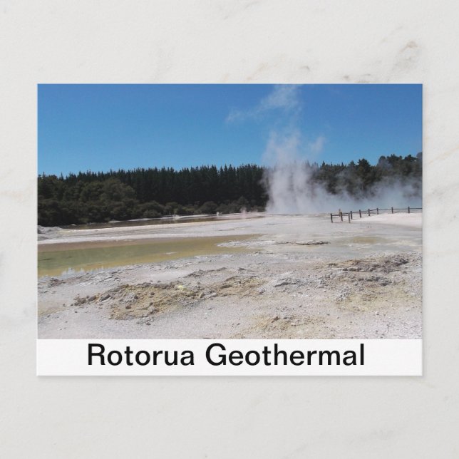 A lovely postcard of the Rotorua Geothermal area (Front)
