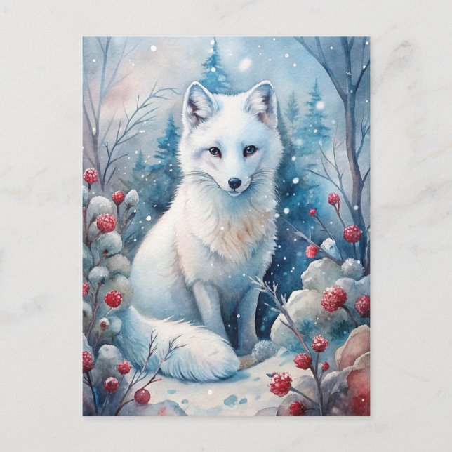 A Lovely White Fox in Winter Postcard (Front)