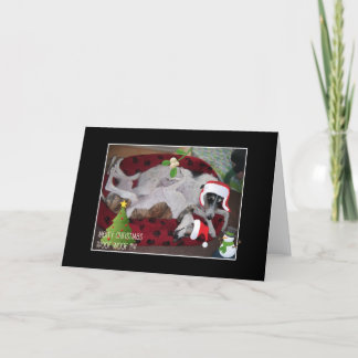 A Lurcher Christmas Holiday Card