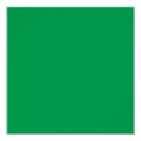 A lush green fern with delicate, intricately patte