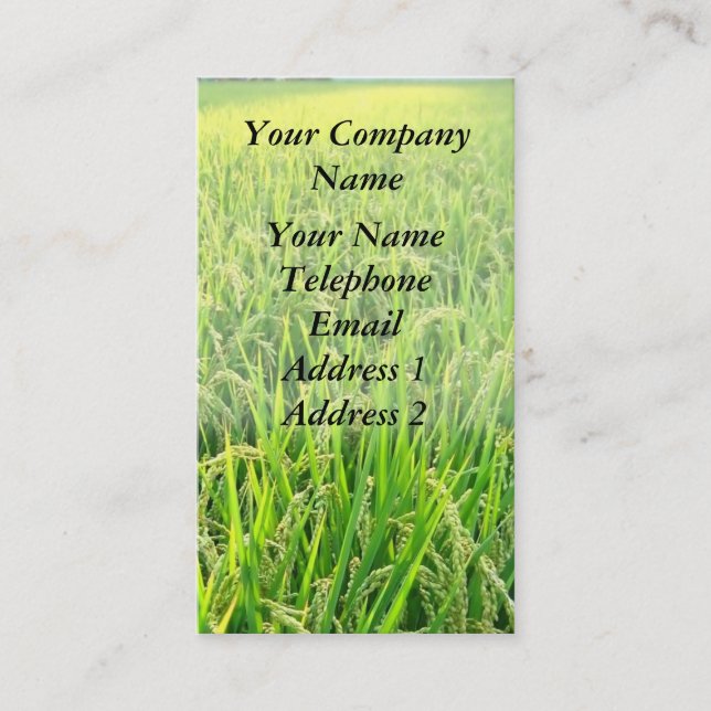 A Lush Green Rice Field with Ripe Ears of Rice Business Card (Front)