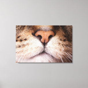 A macro image of a cat's nose and mouth. canvas print