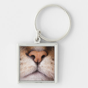 A macro image of a cat's nose and mouth. keychain