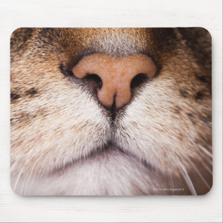A macro image of a cat's nose and mouth. mouse pad