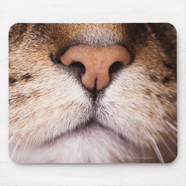 A macro image of a cat's nose and mouth. mouse pad (Front)