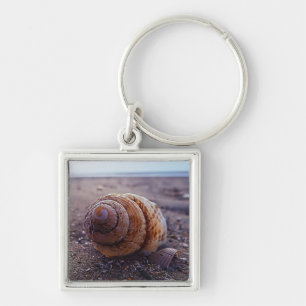 A Macro View Of A Spiral Shell Keychain