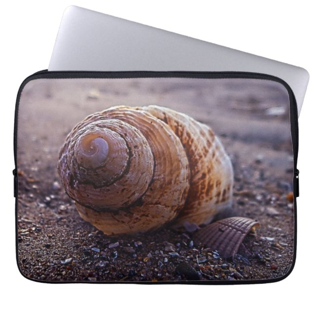 A Macro View Of A Spiral Shell Laptop Sleeve (Front)