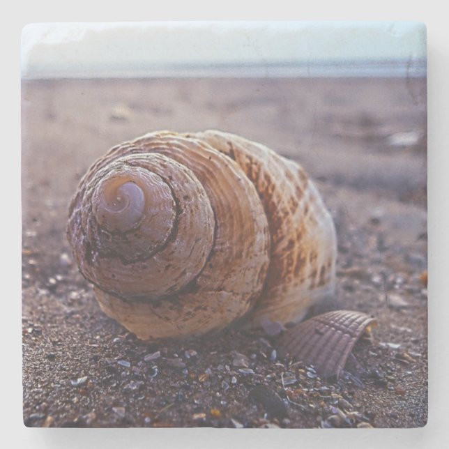 A Macro View Of A Spiral Shell Stone Coaster (Front)