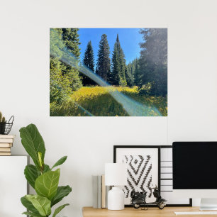 A Magical Forest Poster