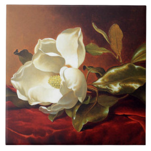 A Magnolia on Red Velvet Tile