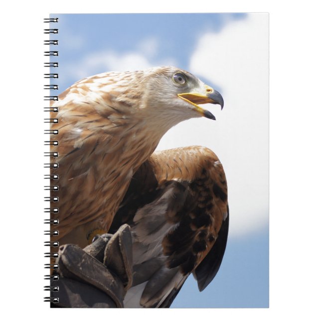A majestic golden eagle notebook (Front)