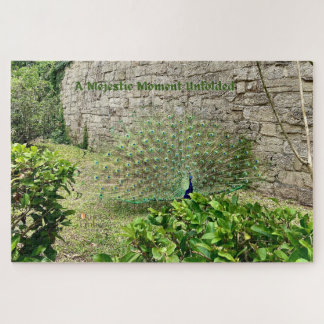 A Majestic Moment Unfolded - Quiet Ember Puzzles