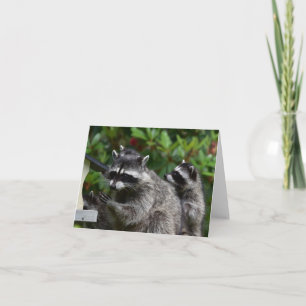 A Mama Raccoon and her Baby Card