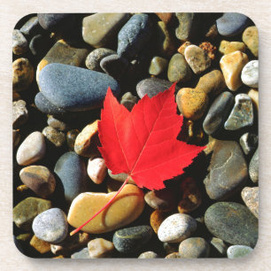 A Maple leaf on a Rock Background Coaster