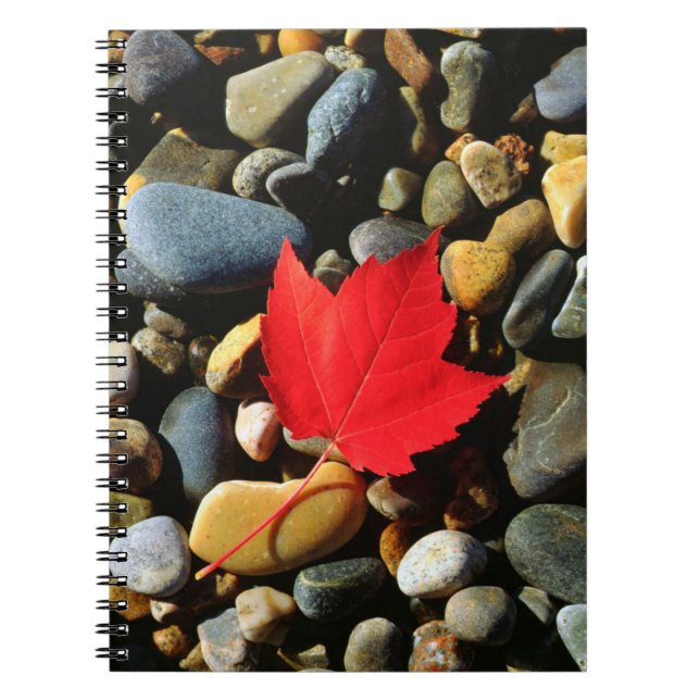 A Maple leaf on a Rock Background Notebook (Front)