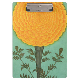 A Marigold, from the Small Clive Album (w/c on pap Clipboard