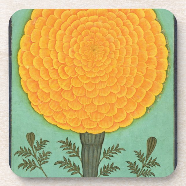 A Marigold, from the Small Clive Album (w/c on pap Coaster (Front)