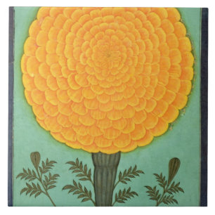 A Marigold, from the Small Clive Album (w/c on pap Tile