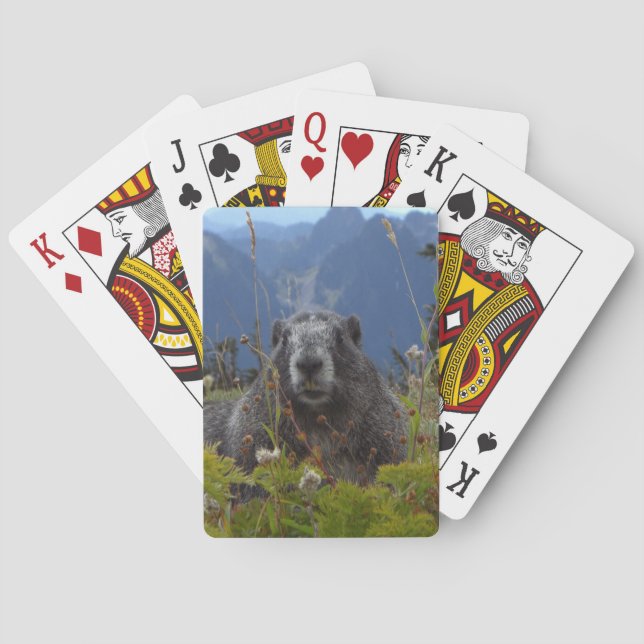 A marmot in Paradise in Mount Rainier National Par Playing Cards (Back)