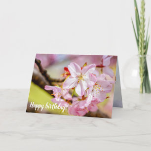 A Marvellous Bunch Of Pink Sakura Flowers In Sprin Card