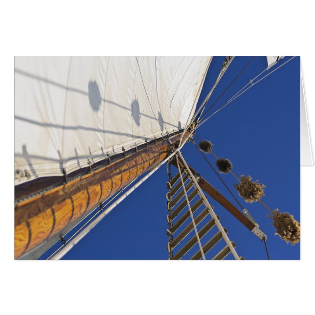 A Mast Of Perspective (Front Horizontal)