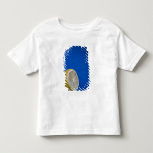 A Mediterranean Lemon Toddler T-shirt