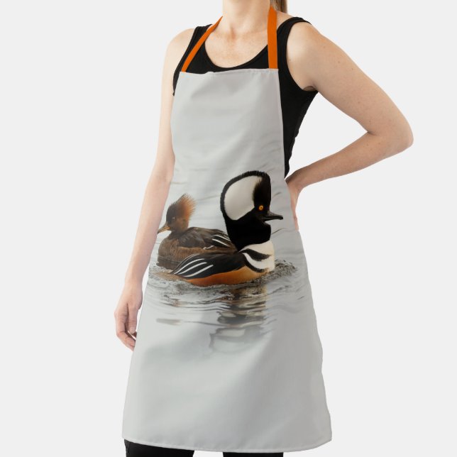 A Meeting of Hooded Merganser Ducks at the Pond Apron (Insitu)