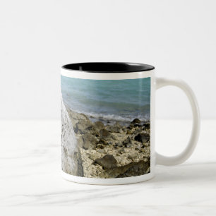 A memorial to prisoners of war on Wake Island Two-Tone Coffee Mug