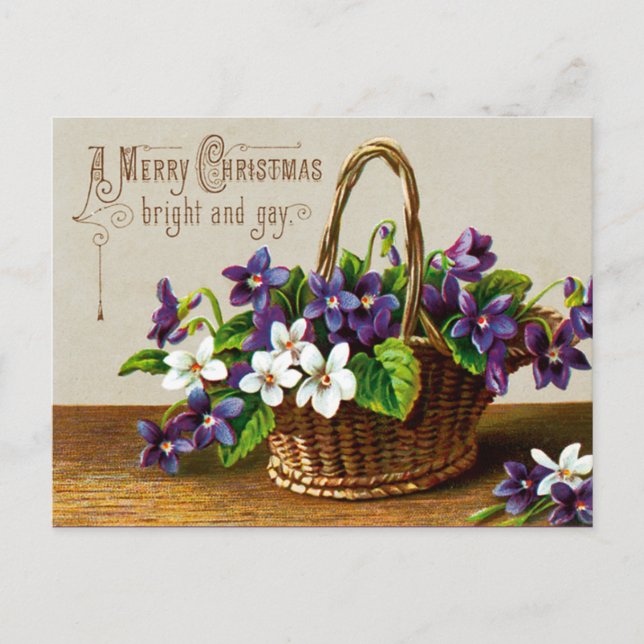 A Merry Christmas Bright and Gay Holiday Postcard (Front)