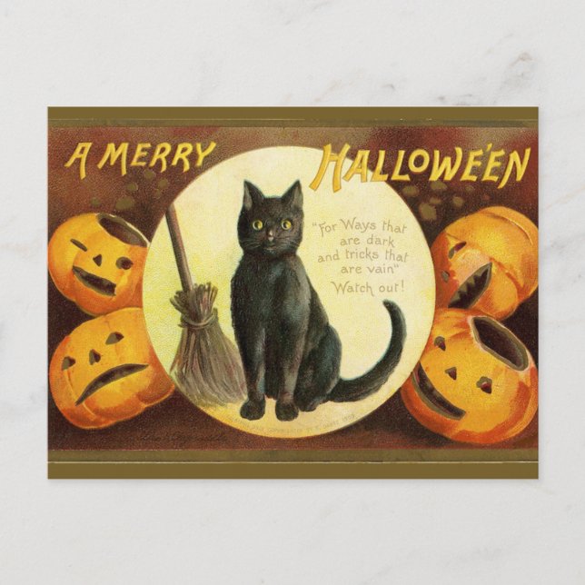 A Merry Hallowe'en Black Cat Pumpkins Vintage Postcard (Front)