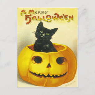 A Merry Hallowe'en Holiday Postcard