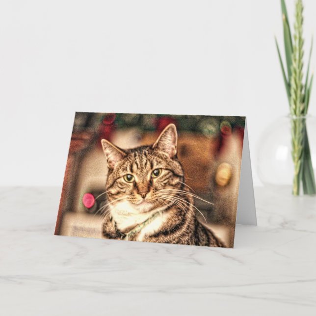 A Merry Little Christmas Kitty Card (Front)