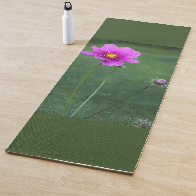 A Mexican Aster Yoga Mat (In Situ)