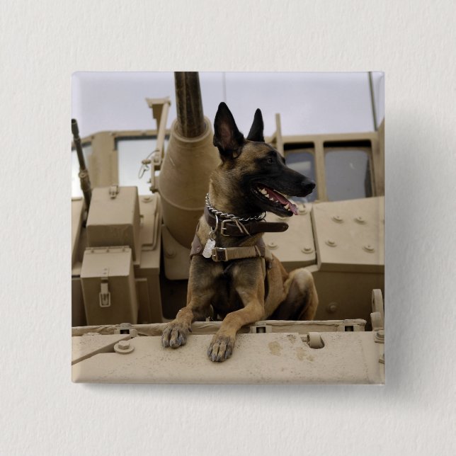 A military working dog sits on a M2A3 2 Inch Square Button (Front)