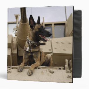 A military working dog sits on a US Army M2A3 Binder