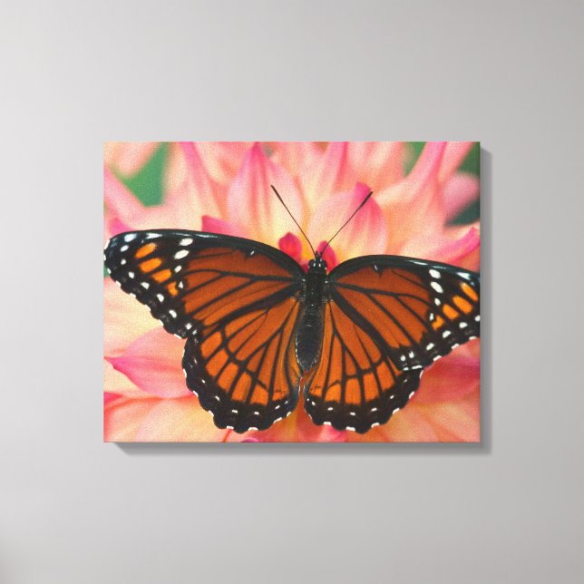 A Mimic Of The Monarch Butterfly Canvas Print (Front)