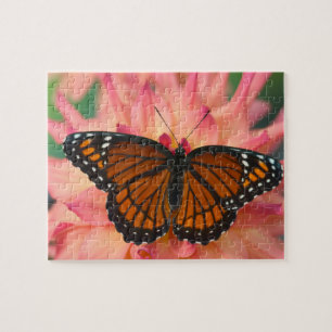 A Mimic Of The Monarch Butterfly Jigsaw Puzzle