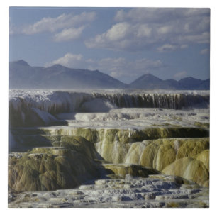 A mineral flow in Yellowstone. Tile