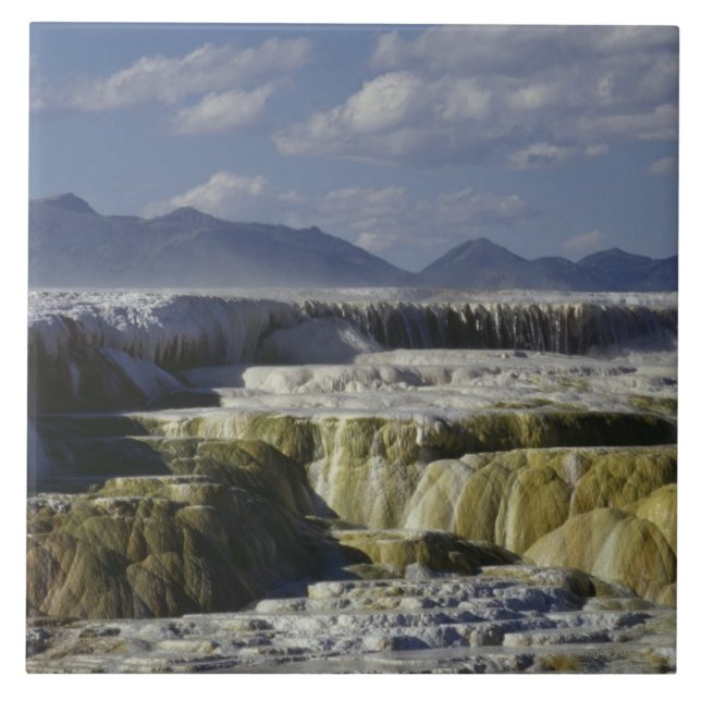 A mineral flow in Yellowstone. Tile (Front)
