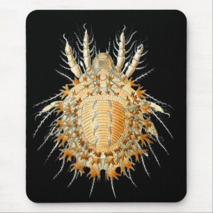 A Mite Mouse Pad