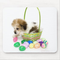 A mixed breed puppy sitting in an Easter basket