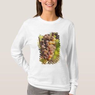 A moldy Semillon grape bunch at Ch Raymond Lafon T-Shirt