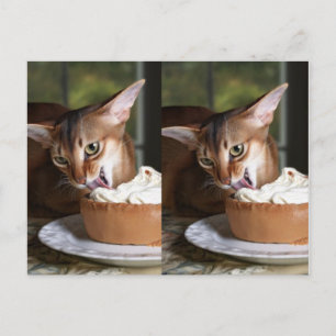 A Moment of Sweet Stillness – Art Postcard