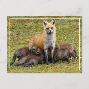 A Mom's Day Postcard