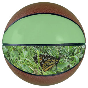 A Monarch Butterfly  Basketball