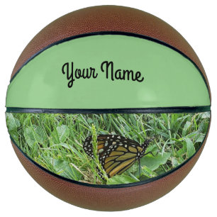 A Monarch Butterfly  Basketball