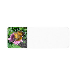 A monarch butterfly on a flower