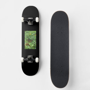 A Monarch Butterfly Skateboard