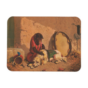A Monkey And A Dog With A Large Tambourine Magnet
